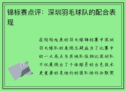 锦标赛点评：深圳羽毛球队的配合表现
