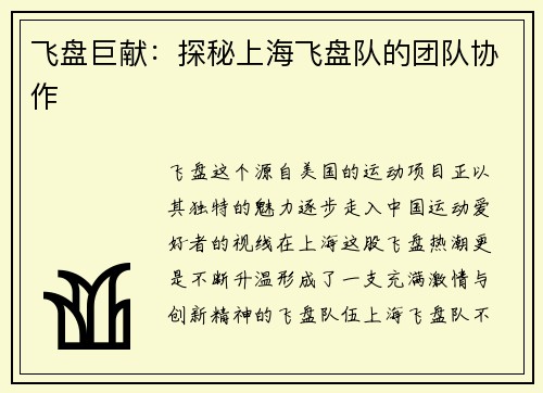 飞盘巨献：探秘上海飞盘队的团队协作